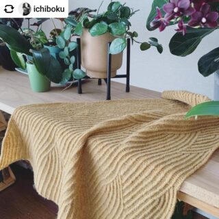 I'm happy to share with you this beautiful #fukinseishawl knitted by @ichiboku 💛
#wabisabibookkal is still open. Do you want to join us 😉?

Thank you Ayano-san for this beautiful photo 🥰

1日1段2段編んだり、間を空けてしまったりしながら終えました。それでもいつでも再開して編み始められるとっても良いパターン、そして飽きのこないデザイン💕とっても楽しく編めました。楽しかった、ありがとう〜☺️

#knit4good #nomadnoos #knitting #knittedshawl #編み物 #手編みショール