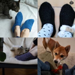 Our animals love #babooshslippers ?
Clockwise from top left 
My tabby checking my slippers 
@ojaoja38 and her Chachamaru attacking her leg 
@lareinedidon and her Yuki
@eritml and her L

Thank you all for capturing these lovely moments ❤️

The introductory discount is running until tomorrow,  December 10, and you have plenty of time to finish a pair before Christmas 🎄 
#strandsoflifedesigns